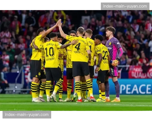 多特蒙德公布对阵门兴大名单，三名主力因伤缺席