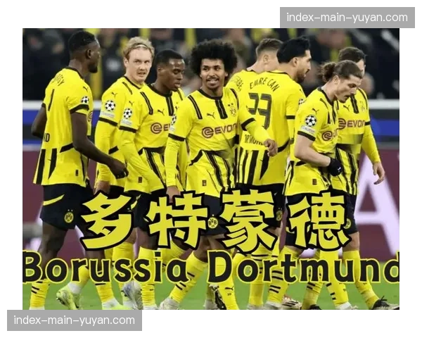 多特蒙德公布上季度财报，欧冠收入抵消转会市场净支出
